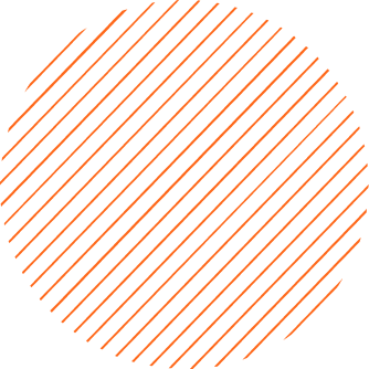 Explore Northeast India's Beauty with Hd Travels